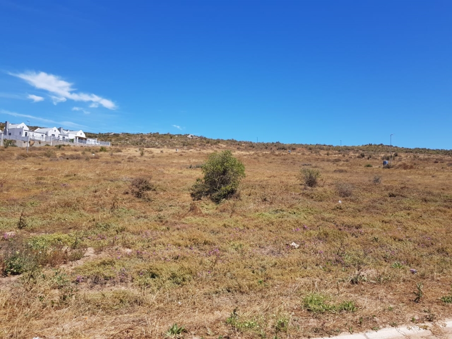 0 Bedroom Property for Sale in Saldanha Heights Western Cape